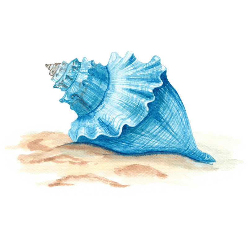comida sea